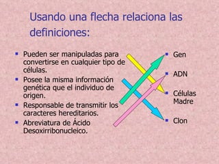 Usando una flecha relaciona las definiciones:   Pueden ser manipuladas para convertirse en cualquier tipo de células. Posee la misma información genética que el individuo de origen. Responsable de transmitir los caracteres hereditarios. Abreviatura de Ácido Desoxirribonucleico. Gen ADN Células Madre Clon 