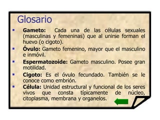 Gameto:   Cada una de las células sexuales (masculinas y femeninas) que al unirse forman el huevo (o cigoto).   Óvulo:  Gameto femenino, mayor que el masculino e inmóvil. Espermatozoide:  Gameto masculino. Posee gran motilidad. Cigoto:  Es el   óvulo fecundado. También se le conoce como embrión. Célula:  Unidad estructural y funcional de los seres vivos que consta típicamente de núcleo, citoplasma, membrana y organelos.  Glosario 