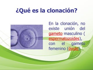 En la clonación, no existe unión del  gameto  masculino ( espermatozoides ), con el gameto femenino ( óvulo ). ¿Qué es la clonación? 