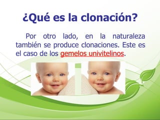 ¿Qué es la clonación? Por otro lado, en la naturaleza también se produce clonaciones. Este es el caso de los  gemelos univitelinos . 