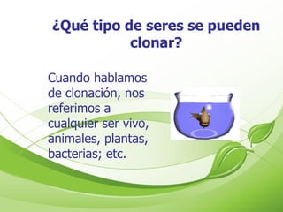 ¿Qué tipo de seres se pueden clonar? Cuando hablamos de clonación, nos referimos a cualquier ser vivo, animales, plantas, bacterias; etc. 