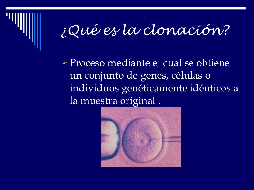La clonación