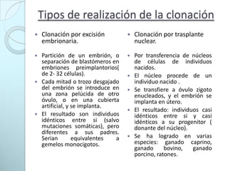 Tipos de realización de la clonaciónClonación por excisión embrionaria.Clonación por trasplante nuclear.Partición de un embrión, o separación de blastómeros en embriones preimplantorios( de 2- 32 células).Cada mitad o trozo desgajado del embrión se introduce en una zona pelúcida de otro óvulo, o en una cubierta artificial, y se implanta.El resultado son individuos idénticos entre si (salvo mutaciones somáticas), pero diferentes a sus padres. Serian equivalentes a gemelos monocigotos.Por transferencia de núcleos de células de individuos nacidos.El núcleo procede de un individuo nacido .Se transfiere a óvulo zigoto enucleados, y el embrión se implanta en útero.El resultado: individuos casi idénticos entre si y casi idénticos a su progenitor ( donante del núcleo).Se ha logrado en varias especies: ganado caprino, ganado bovino, ganado porcino, ratones.