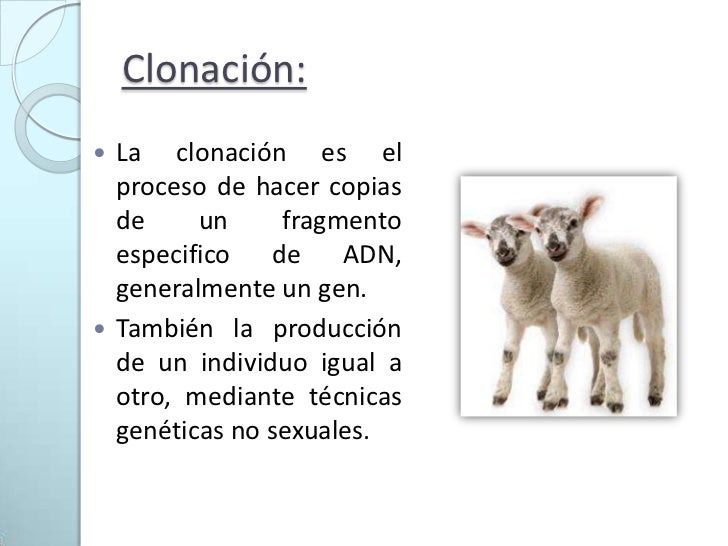 La clonación.