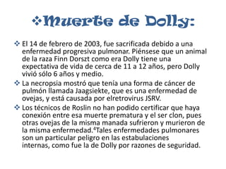 Muerte de Dolly:
 El 14 de febrero de 2003, fue sacrificada debido a una
  enfermedad progresiva pulmonar. Piénsese que un animal
  de la raza Finn Dorszt como era Dolly tiene una
  expectativa de vida de cerca de 11 a 12 años, pero Dolly
  vivió sólo 6 años y medio.
 La necropsia mostró que tenía una forma de cáncer de
  pulmón llamada Jaagsiekte, que es una enfermedad de
  ovejas, y está causada por elretrovirus JSRV.
 Los técnicos de Roslin no han podido certificar que haya
  conexión entre esa muerte prematura y el ser clon, pues
  otras ovejas de la misma manada sufrieron y murieron de
  la misma enfermedad.4Tales enfermedades pulmonares
  son un particular peligro en las estabulaciones
  internas, como fue la de Dolly por razones de seguridad.
 