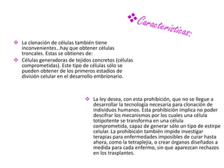  La clonación de células también tiene
  inconvenientes…hay que obtener células
  troncales. Estas se obtienes de:
 Células generadoras de tejidos concretos (células
  comprometidas). Este tipo de células sólo se
  pueden obtener de los primeros estadios de
  división celular en el desarrollo embrionario.



                               La ley desea, con esta prohibición, que no se llegue a
                                desarrollar la tecnología necesaria para clonación de
                                individuos humanos. Esta prohibición implica no poder
                                descifrar los mecanismos por los cuales una célula
                                totipotente se transforma en una célula
                                comprometida, capaz de generar sólo un tipo de estirpe
                                celular. La prohibición también impide investigar
                                terapias para enfermedades imposibles de curar hasta
                                ahora, como la tetraplejia, o crear órganos diseñados a
                                medida para cada enfermo, sin que aparezcan rechazos
                                en los trasplantes.
 