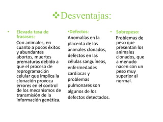 Desventajas:
•   Elevada tasa de          •Defectos:           •   Sobrepeso:
    fracasos:                Anomalías en la          Problemas de
    Con animales, en         placenta de los          peso que
    cuanto a pocos éxitos    animales clonados,       presentan los
    y abundantes                                      animales
    abortos, muertes         defectos en las          clonados, que
    prematuras debido a      células sanguíneas,      a menudo
    que el proceso de        enfermedades             nacen con un
    reprogramación           cardiacas y              peso muy
    celular que implica la                            superior al
    clonación provoca        problemas                normal.
    errores en el control    pulmonares son
    de los mecanismos de     algunos de los
    transmisión de la        defectos detectados.
    información genética.
 