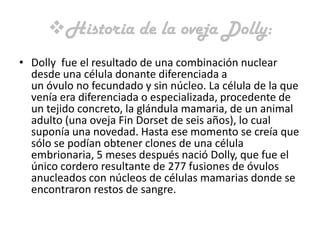 Historia de la oveja Dolly:
• Dolly fue el resultado de una combinación nuclear
  desde una célula donante diferenciada a
  un óvulo no fecundado y sin núcleo. La célula de la que
  venía era diferenciada o especializada, procedente de
  un tejido concreto, la glándula mamaria, de un animal
  adulto (una oveja Fin Dorset de seis años), lo cual
  suponía una novedad. Hasta ese momento se creía que
  sólo se podían obtener clones de una célula
  embrionaria, 5 meses después nació Dolly, que fue el
  único cordero resultante de 277 fusiones de óvulos
  anucleados con núcleos de células mamarias donde se
  encontraron restos de sangre.
 