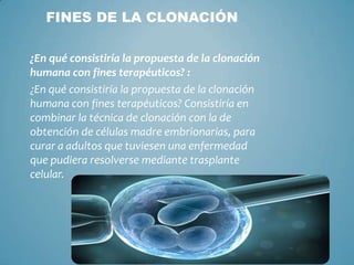 FINES DE LA CLONACIÓN

¿En qué consistiría la propuesta de la clonación
humana con fines terapéuticos? :
¿En qué consistiría la propuesta de la clonación
humana con fines terapéuticos? Consistiría en
combinar la técnica de clonación con la de
obtención de células madre embrionarias, para
curar a adultos que tuviesen una enfermedad
que pudiera resolverse mediante trasplante
celular.
 