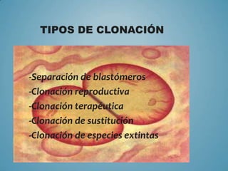 TIPOS DE CLONACIÓN



-Separación de blastómeros
-Clonación reproductiva
-Clonación terapéutica
-Clonación de sustitución
-Clonación de especies extintas
 