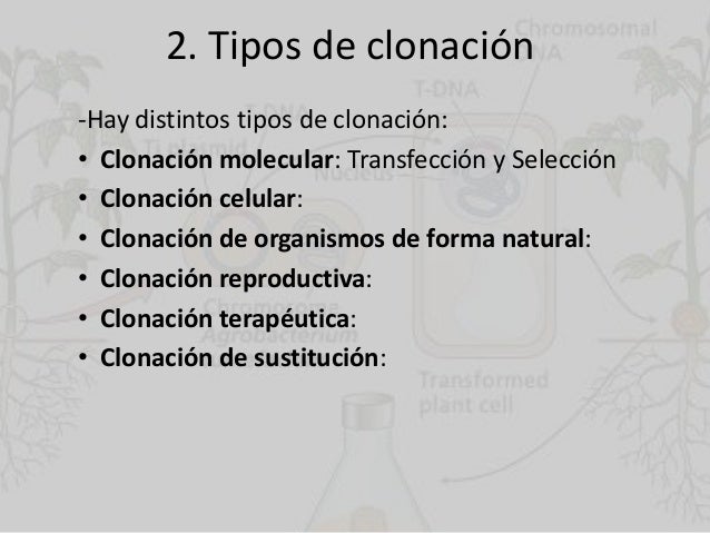 La clonación