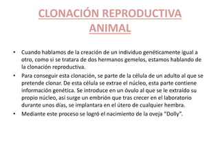 CLONACIÓN REPRODUCTIVA 
ANIMAL 
• Cuando hablamos de la creación de un individuo genéticamente igual a 
otro, como si se tratara de dos hermanos gemelos, estamos hablando de 
la clonación reproductiva. 
• Para conseguir esta clonación, se parte de la célula de un adulto al que se 
pretende clonar. De esta célula se extrae el núcleo, esta parte contiene 
información genética. Se introduce en un óvulo al que se le extraído su 
propio núcleo, así surge un embrión que tras crecer en el laboratorio 
durante unos días, se implantara en el útero de cualquier hembra. 
• Mediante este proceso se logró el nacimiento de la oveja “Dolly”. 
 