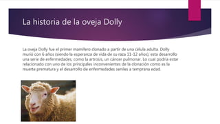 La historia de la oveja Dolly
La oveja Dolly fue el primer mamífero clonado a partir de una célula adulta. Dolly
murió con 6 años (siendo la esperanza de vida de su raza 11-12 años), esta desarrollo
una serie de enfermedades, como la artrosis, un cáncer pulmonar. Lo cual podría estar
relacionado con uno de los principales inconvenientes de la clonación como es la
muerte prematura y el desarrollo de enfermedades seniles a temprana edad.
 