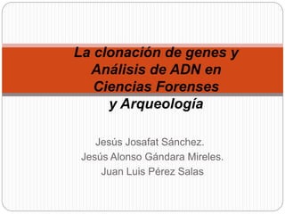 Jesús Josafat Sánchez.
Jesús Alonso Gándara Mireles.
Juan Luis Pérez Salas
La clonación de genes y
Análisis de ADN en
Ciencias Forenses
y Arqueología
 