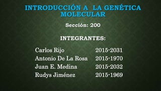 INTEGRANTES:
Carlos Rijo 2015-2031
Antonio De La Rosa 2015-1970
Juan E. Medina 2015-2032
Rudys Jiménez 2015-1969
INTRODUCCIÓN A LA GENÉTICA
MOLECULAR
Sección: 200
 