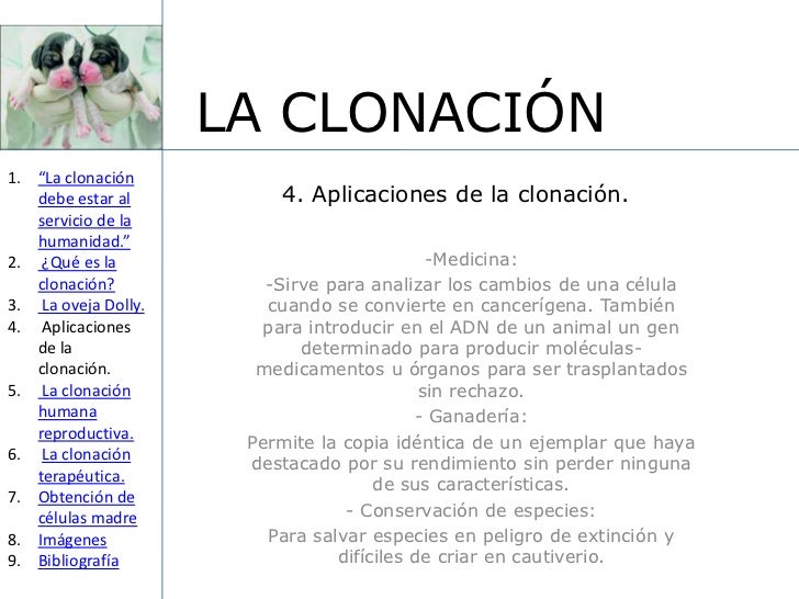 La clonacion