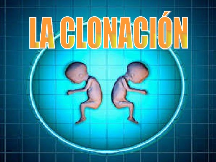 Resultado de imagen para LA CLONACION