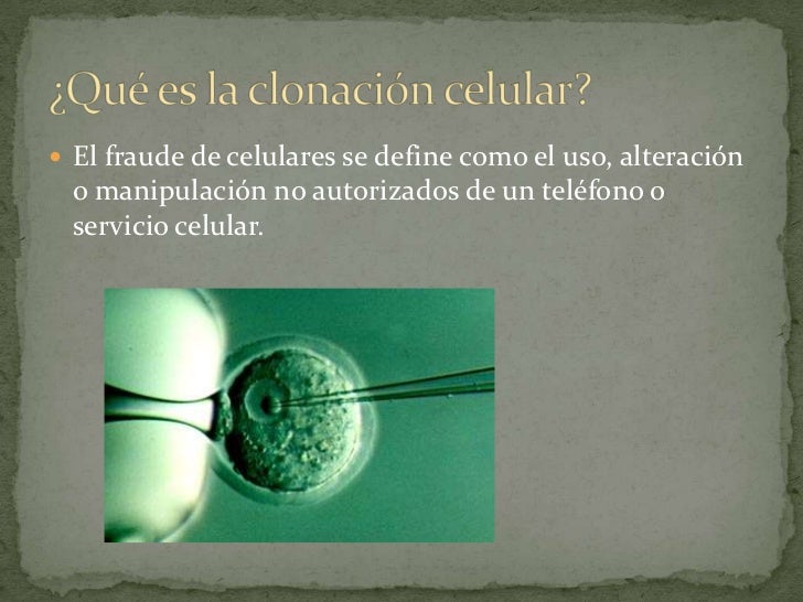 La clonacion celular