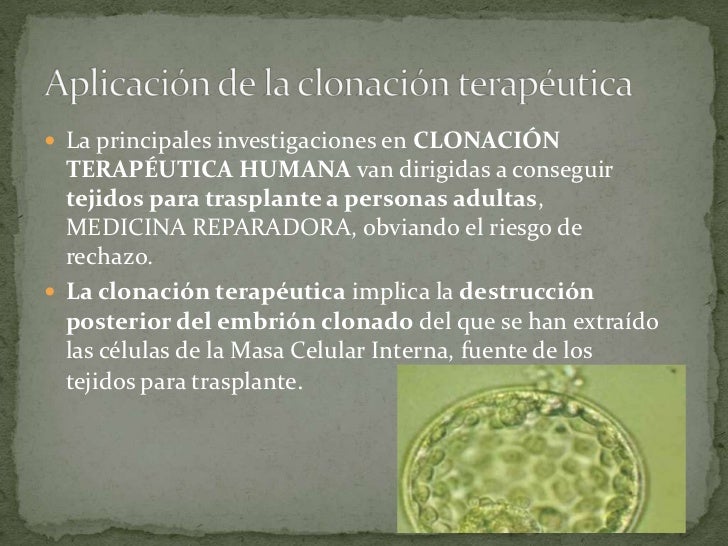 La clonacion celular