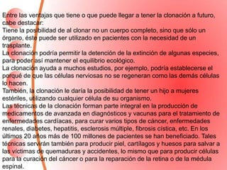 Entre las ventajas que tiene o que puede llegar a tener la clonación a futuro,
cabe destacar:
Tiene la posibilidad de al clonar no un cuerpo completo, sino que sólo un
órgano, éste puede ser utilizado en pacientes con la necesidad de un
trasplante.
La clonación podría permitir la detención de la extinción de algunas especies,
para poder así mantener el equilibrio ecológico.
La clonación ayuda a muchos estudios, por ejemplo, podría establecerse el
porqué de que las células nerviosas no se regeneran como las demás células
lo hacen.
También, la clonación le daría la posibilidad de tener un hijo a mujeres
estériles, utilizando cualquier célula de su organismo.
Las técnicas de la clonación forman parte integral en la producción de
medicamentos de avanzada en diagnósticos y vacunas para el tratamiento de
enfermedades cardíacas, para curar varios tipos de cáncer, enfermedades
renales, diabetes, hepatitis, esclerosis múltiple, fibrosis cística, etc. En los
últimos 20 años más de 100 millones de pacientes se han beneficiado. Tales
técnicas servirán también para producir piel, cartílagos y huesos para salvar a
las víctimas de quemaduras y accidentes, lo mismo que para producir células
para la curación del cáncer o para la reparación de la retina o de la médula
espinal.
 
