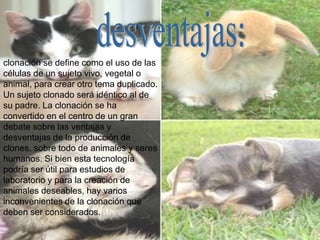 clonación se define como el uso de las
células de un sujeto vivo, vegetal o
animal, para crear otro tema duplicado.
Un sujeto clonado será idéntico al de
su padre. La clonación se ha
convertido en el centro de un gran
debate sobre las ventajas y
desventajas de la producción de
clones, sobre todo de animales y seres
humanos. Si bien esta tecnología
podría ser útil para estudios de
laboratorio y para la creación de
animales deseables, hay varios
inconvenientes de la clonación que
deben ser considerados.
 