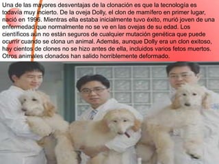 Una de las mayores desventajas de la clonación es que la tecnología es
todavía muy incierto. De la oveja Dolly, el clon de mamífero en primer lugar,
nació en 1996. Mientras ella estaba inicialmente tuvo éxito, murió joven de una
enfermedad que normalmente no se ve en las ovejas de su edad. Los
científicos aún no están seguros de cualquier mutación genética que puede
ocurrir cuando se clona un animal. Además, aunque Dolly era un clon exitoso,
hay cientos de clones no se hizo antes de ella, incluidos varios fetos muertos.
Otros animales clonados han salido horriblemente deformado.
 