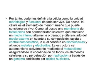 Por tanto, podemos definir a la célula como la unidad  morfológica  y  funcional  de todo ser vivo. De hecho, la célula es el elemento de menor tamaño que puede considerarse vivo. Como tal posee una  membrana  de  fosfolípidos  con permeabilidad selectiva que mantiene un  medio interno  altamente ordenado y diferenciado del  medio externo  en cuanto a su composición, sujeta a  control homeostático , la cual consiste en  biomoléculas  y algunos  metales  y  electrolitos . La estructura se automantiene activamente mediante el  metabolismo , asegurándose la coordinación de todos los elementos celulares y su perpetuación por  replicación  a través de un  genoma  codificado por  ácidos nucleicos .  