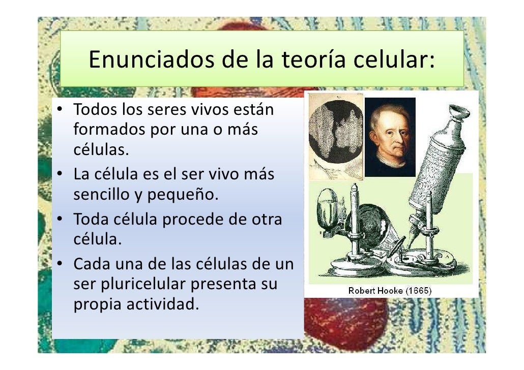 Enunciados de la teoria celular