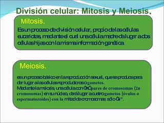 División celular: Mitosis y Meiosis . Es un proceso de división celular, propio de las células eucariotas, mediante el cual una célula madre da lugar a dos células hijas con la misma información genética. M itosis. es un proceso básico en la reproducción sexual, que se produce para dar lugar a las células reproductoras o  gametos. Mediante la meiosis, una célula con “n”  pares de cromosomas (2n cromosomas)  en su núcleo, dará lugar a cuatro  gametos (óvulos o espermatozoides) con la  mitad de cromosomas: sólo “ n”. Meiosis. 