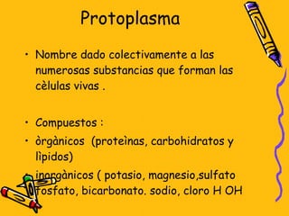 Protoplasma Nombre dado colectivamente a las numerosas substancias que forman las cèlulas vivas . Compuestos : òrgànicos  (proteìnas, carbohidratos y lìpidos) inorgànicos ( potasio, magnesio,sulfato fosfato, bicarbonato. sodio, cloro H OH 