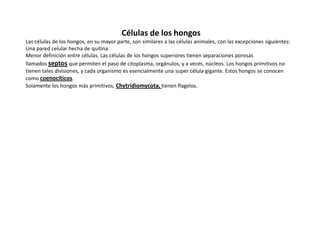                                                 Células de los hongosLas células de los hongos, en su mayor parte, son similares a las células animales, con las excepciones siguientes:Una pared celular hecha de quitina.Menor definición entre células. Las células de los hongos superiores tienen separaciones porosas llamados septos que permiten el paso de citoplasma, orgánulos, y a veces, núcleos. Los hongos primitivos no tienen tales divisiones, y cada organismo es esencialmente una super célula gigante. Estos hongos se conocen como coenocíticos.Solamente los hongos más primitivos, Chytridiomycota, tienen flagelos.