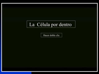 La  Célula por dentro  Hacer doble clic 