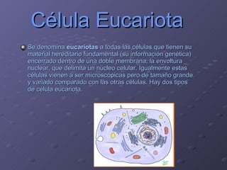Célula Eucariota Se denomina  eucariotas  a todas las células que tienen su material hereditario fundamental (su información genética) encerrado dentro de una doble membrana, la envoltura nuclear, que delimita un núcleo celular. Igualmente estas células vienen a ser microscópicas pero de tamaño grande y variado comparado con las otras células. Hay dos tipos de célula eucariota.  