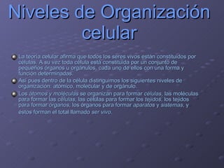 Niveles de Organización celular La teoría celular afirma que todos los seres vivos están constituidos por células. A su vez toda célula está constituida por un conjunto de pequeños órganos u orgánulos, cada uno de ellos con una forma y función determinadas. Así pues dentro de la célula distinguimos los siguientes niveles de organización: atómico, molecular y de orgánulo. Los  átomos y moléculas  se organizan para formar  células , las moléculas para formar las  células , las células para formar los  tejidos , los tejidos para formar  órganos , los órganos para formar  aparatos  y  sistemas , y éstos forman el total llamado  ser vivo .   