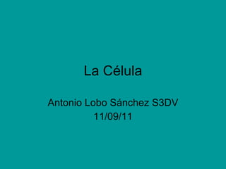La Célula Antonio Lobo Sánchez S3DV 11/09/11 