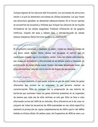 incluyen algunos de los cánceres más frecuentes. Los carcinomas de estructura

similar a la piel se denominan carcinomas de células escamosas. Los que tienen

una estructura glandular se denominan adenocarcinomas. En el tercer subtipo

se encuentran las leucemias y linfomas que incluyen los cánceres de los tejidos

formadores de las células sanguíneas. Producen inflamación de los ganglios

linfáticos, invasión del bazo y médula ósea, y sobreproducción de células

blancas inmaduras. Estos factores ayudan a su clasificación.



Naturaleza de la enfermedad

El crecimiento canceroso, o neoplasia, es clonal —todas las células proceden de

una única célula madre. Estas células han escapado al control que en

condiciones ormales rige el crecimiento celular. Como las células embrionarias,

son incapaces de madurar o diferenciarse en un estadio adulto y funcional. La

proliferación de estas células puede formar una masa denominada tumor, que

crece sin mantener relación con la función del órgano del que procede.



Clonación de genes

Es el proceso mediante el cual puede aislarse un gen de entre todos los genes

diferentes que existen en un organismo, lo que permite realizar su

caracterización. Esto se consigue con la preparación de una batería de

bacterias que contienen todos los genes distintos presentes en un organismo

de manera que cada una de ellas contiene un solo gen. Esto se lleva a cabo

efectuando cortes del ADN de un individuo. Otra alternativa es la de crear un

conjunto de todas las secuencias de ADN expresadas en una célula específica

mediante la producción de copias complementarias de ADN a partir del ARNm

hallado en dichas células. En ambos casos, los fragmentos de ADN se unen a un
 