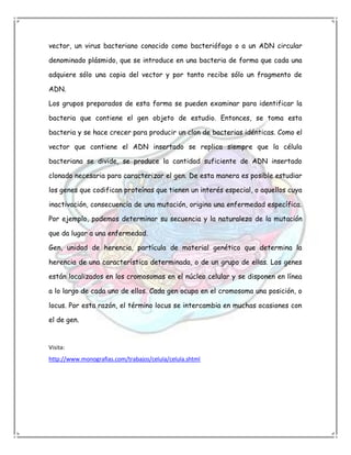 vector, un virus bacteriano conocido como bacteriófago o a un ADN circular

denominado plásmido, que se introduce en una bacteria de forma que cada una

adquiere sólo una copia del vector y por tanto recibe sólo un fragmento de

ADN.

Los grupos preparados de esta forma se pueden examinar para identificar la

bacteria que contiene el gen objeto de estudio. Entonces, se toma esta

bacteria y se hace crecer para producir un clon de bacterias idénticas. Como el

vector que contiene el ADN insertado se replica siempre que la célula

bacteriana se divide, se produce la cantidad suficiente de ADN insertado

clonado necesaria para caracterizar el gen. De esta manera es posible estudiar

los genes que codifican proteínas que tienen un interés especial, o aquellos cuya

inactivación, consecuencia de una mutación, origina una enfermedad específica.

Por ejemplo, podemos determinar su secuencia y la naturaleza de la mutación

que da lugar a una enfermedad.

Gen, unidad de herencia, partícula de material genético que determina la

herencia de una característica determinada, o de un grupo de ellas. Los genes

están localizados en los cromosomas en el núcleo celular y se disponen en línea

a lo largo de cada uno de ellos. Cada gen ocupa en el cromosoma una posición, o

locus. Por esta razón, el término locus se intercambia en muchas ocasiones con

el de gen.


Visita:
http://www.monografias.com/trabajos/celula/celula.shtml
 
