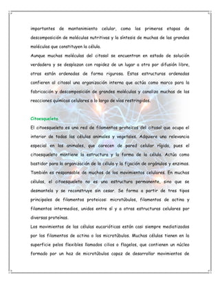 importantes de mantenimiento celular, como las primeras etapas de

descomposición de moléculas nutritivas y la síntesis de muchas de las grandes

moléculas que constituyen la célula.

Aunque muchas moléculas del citosol se encuentran en estado de solución

verdadera y se desplazan con rapidez de un lugar a otro por difusión libre,

otras están ordenadas de forma rigurosa. Estas estructuras ordenadas

confieren al citosol una organización interna que actúa como marco para la

fabricación y descomposición de grandes moléculas y canaliza muchas de las

reacciones químicas celulares a lo largo de vías restringidas.



Citoesqueleto

El citoesqueleto es una red de filamentos proteicos del citosol que ocupa el

interior de todas las células animales y vegetales. Adquiere una relevancia

especial en las animales, que carecen de pared celular rígida, pues el

citoesqueleto mantiene la estructura y la forma de la célula. Actúa como

bastidor para la organización de la célula y la fijación de orgánulos y enzimas.

También es responsable de muchos de los movimientos celulares. En muchas

células, el citoesqueleto no es una estructura permanente, sino que se

desmantela y se reconstruye sin cesar. Se forma a partir de tres tipos

principales de filamentos proteicos: microtúbulos, filamentos de actina y

filamentos intermedios, unidos entre sí y a otras estructuras celulares por

diversas proteínas.

Los movimientos de las células eucarióticas están casi siempre mediatizados

por los filamentos de actina o los microtúbulos. Muchas células tienen en la

superficie pelos flexibles llamados cilios o flagelos, que contienen un núcleo

formado por un haz de microtúbulos capaz de desarrollar movimientos de
 