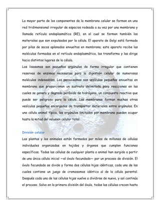 La mayor parte de los componentes de la membrana celular se forman en una

red tridimensional irregular de espacios rodeada a su vez por una membrana y

llamada retículo endoplasmático (RE), en el cual se forman también los

materiales que son expulsados por la célula. El aparato de Golgi está formado

por pilas de sacos aplanados envueltos en membrana; este aparato recibe las

moléculas formadas en el retículo endoplasmático, las transforma y las dirige

hacia distintos lugares de la célula.

Los lisosomas son pequeños orgánulos de forma irregular que contienen

reservas de enzimas necesarias para la digestión celular de numerosas

moléculas indeseables. Los peroxisomas son vesículas pequeñas envueltas en

membrana que proporcionan un sustrato delimitado para reacciones en las

cuales se genera y degrada peróxido de hidrógeno, un compuesto reactivo que

puede ser peligroso para la célula. Las membranas forman muchas otras

vesículas pequeñas encargadas de transportar materiales entre orgánulos. En

una célula animal típica, los orgánulos limitados por membrana pueden ocupar

hasta la mitad del volumen celular total.



División celular

Las plantas y los animales están formados por miles de millones de células

individuales organizadas en tejidos y órganos que cumplen funciones

específicas. Todas las células de cualquier planta o animal han surgido a partir

de una única célula inicial —el óvulo fecundado— por un proceso de división. El

óvulo fecundado se divide y forma dos células hijas idénticas, cada una de las

cuales contiene un juego de cromosomas idéntico al de la célula parental.

Después cada una de las células hijas vuelve a dividirse de nuevo, y así continúa

el proceso. Salvo en la primera división del óvulo, todas las células crecen hasta
 