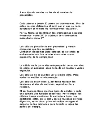 A ese tipo de células se les da el nombre de
procariotas


Cada persona posee 23 pares de cromosomas. Una de
estas parejas determina el sexo con el que se nace,
adoptando el nombre de "cromosomas sexuales".
Por su forma se identifican los cromosomas sexuales
femeninos como XX, y la pareja de cromosomas
masculinos como XY


Las células procariotas son pequeñas y menos
complejas que las eucariotas.
Contienen ribosomas pero carecen de sistemas de
endomembranas Las células eucariotas son el
exponente de la complejidad


La célula es la parte viva más pequeña de un ser vivo.
Es como un pequeño saco lleno de un líquido y varios
orgánulos.
Las células no se pueden ver a simple vista. Para
verlas se eutiliza el microscopio.
Las células están vivas y, por tanto realizan las
funciones vitales de nutrición, reproducción y
relación.
El ser humano tiene muchos tipos de células y cada
una cumple una función específica. Por ejemplo, las
células óseas mantienen la estructura ósea; las
epiteliales están, en la piel y en las mucosas del tubo
digestivo, entre otros, y los eritrocitos recogen el
oxígeno de los pulmones para llevarlo a todas las
partes del cuerpo.
 