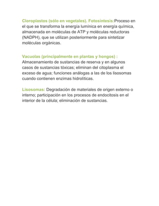 Cloroplastos (sólo en vegetales). Fotosíntesis:Proceso en
el que se transforma la energía lumínica en energía química,
almacenada en moléculas de ATP y moléculas reductoras
(NADPH), que se utilizan posteriormente para sintetizar
moléculas orgánicas.


Vacuolas (principalmente en plantas y hongos) :
Almacenamiento de sustancias de reserva y en algunos
casos de sustancias tóxicas; eliminan del citoplasma el
exceso de agua; funciones análogas a las de los lisosomas
cuando contienen enzimas hidrolíticas.

Lisosomas: Degradación de materiales de origen externo o
interno; participación en los procesos de endocitosis en el
interior de la célula; eliminación de sustancias.
 