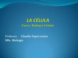 Profesora: Claudia Tapia Larios
MSc. Biología
 