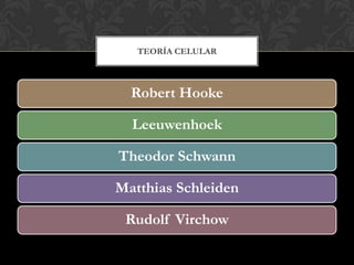 Robert Hooke
Leeuwenhoek
Theodor Schwann
Matthias Schleiden
Rudolf Virchow
TEORÍA CELULAR
 