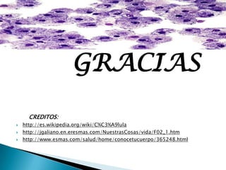 GRACIAS
CREDITOS:
 http://es.wikipedia.org/wiki/C%C3%A9lula
 http://jgaliano.en.eresmas.com/NuestrasCosas/vida/F02_1.htm
 http://www.esmas.com/salud/home/conocetucuerpo/365248.html
 
