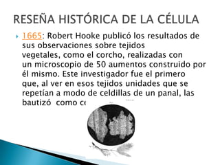  1665: Robert Hooke publicó los resultados de
sus observaciones sobre tejidos
vegetales, como el corcho, realizadas con
un microscopio de 50 aumentos construido por
él mismo. Este investigador fue el primero
que, al ver en esos tejidos unidades que se
repetían a modo de celdillas de un panal, las
bautizó como células.
 
