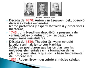  Década de 1670: Anton van Leeuwenhoek, observó
diversas células eucariotas
(como protozoos y espermatozoides) y procariotas
(bacterias).
 1745: John Needham describió la presencia de
«animálculos» o «infusorios»; se trataba de
organismos unicelulares.
 Década de 1830: Theodor Schwann estudió
la célula animal; junto con Matthias
Schleiden postularon que las células son las
unidades elementales en la formación de las
plantas y animales, y que son la base fundamental
del proceso vital.
 1831: Robert Brown descubrió el núcleo celular.
 