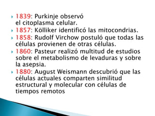  1839: Purkinje observó
el citoplasma celular.
 1857: Kölliker identificó las mitocondrias.
 1858: Rudolf Virchow postuló que todas las
células provienen de otras células.
 1860: Pasteur realizó multitud de estudios
sobre el metabolismo de levaduras y sobre
la asepsia.
 1880: August Weismann descubrió que las
células actuales comparten similitud
estructural y molecular con células de
tiempos remotos
 