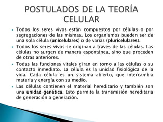  Todos los seres vivos están compuestos por células o por
segregaciones de las mismas. Los organismos pueden ser de
una sola célula (unicelulares) o de varias (pluricelulares).
 Todos los seres vivos se originan a través de las células. Las
células no surgen de manera espontánea, sino que proceden
de otras anteriores.
 Todas las funciones vitales giran en torno a las células o su
contacto inmediato. La célula es la unidad fisiológica de la
vida. Cada célula es un sistema abierto, que intercambia
materia y energía con su medio.
 Las células contienen el material hereditario y también son
una unidad genética. Esto permite la transmisión hereditaria
de generación a generación.
 