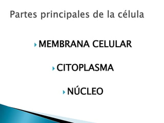  MEMBRANA CELULAR
 CITOPLASMA
 NÚCLEO
 