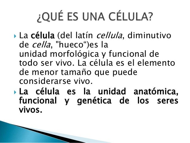 La célula, concepto, partes, funciones.